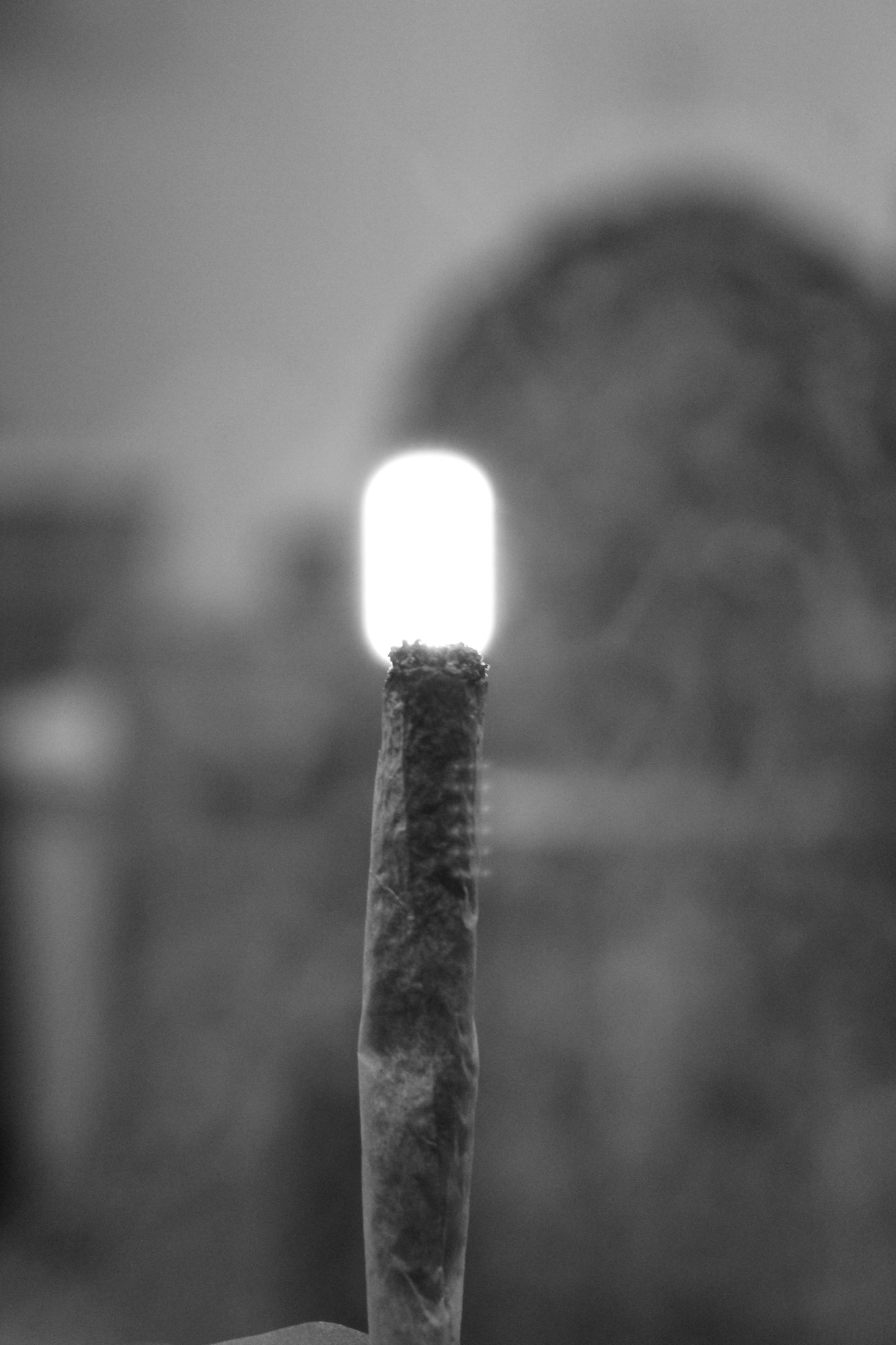 Nyzia: My Journey Through The Grey