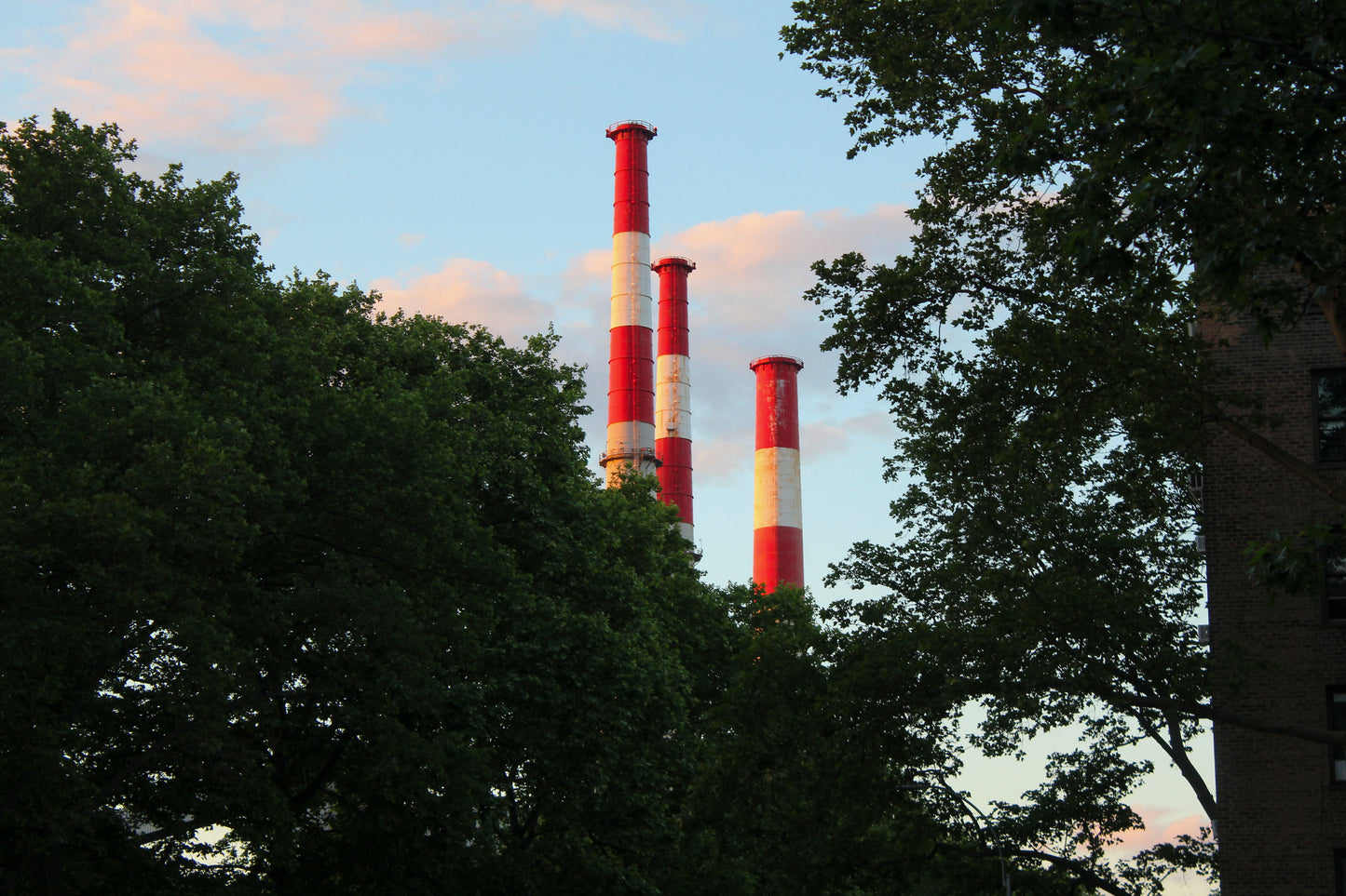 Eliza: Photography as Healing