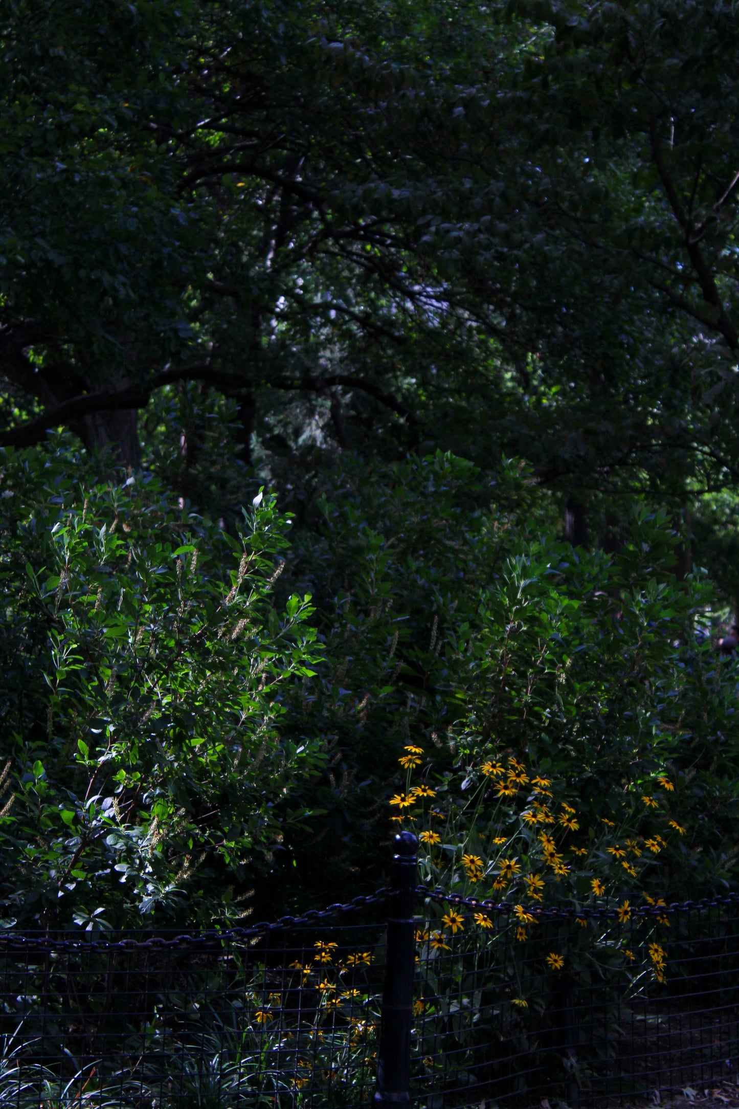 Romiel: Don’t Be Afraid