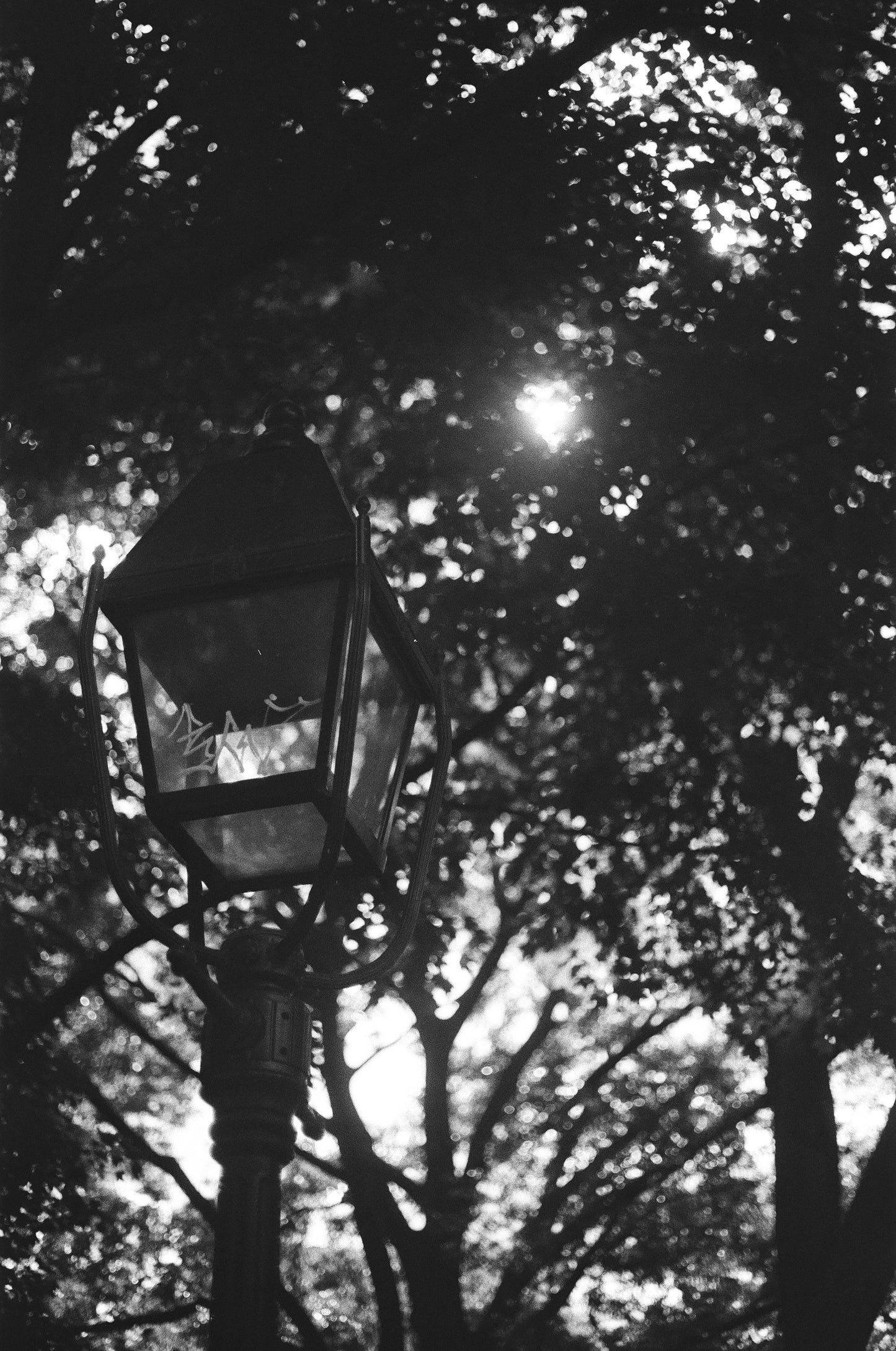 Alondra: In the Shadows, Lives Light