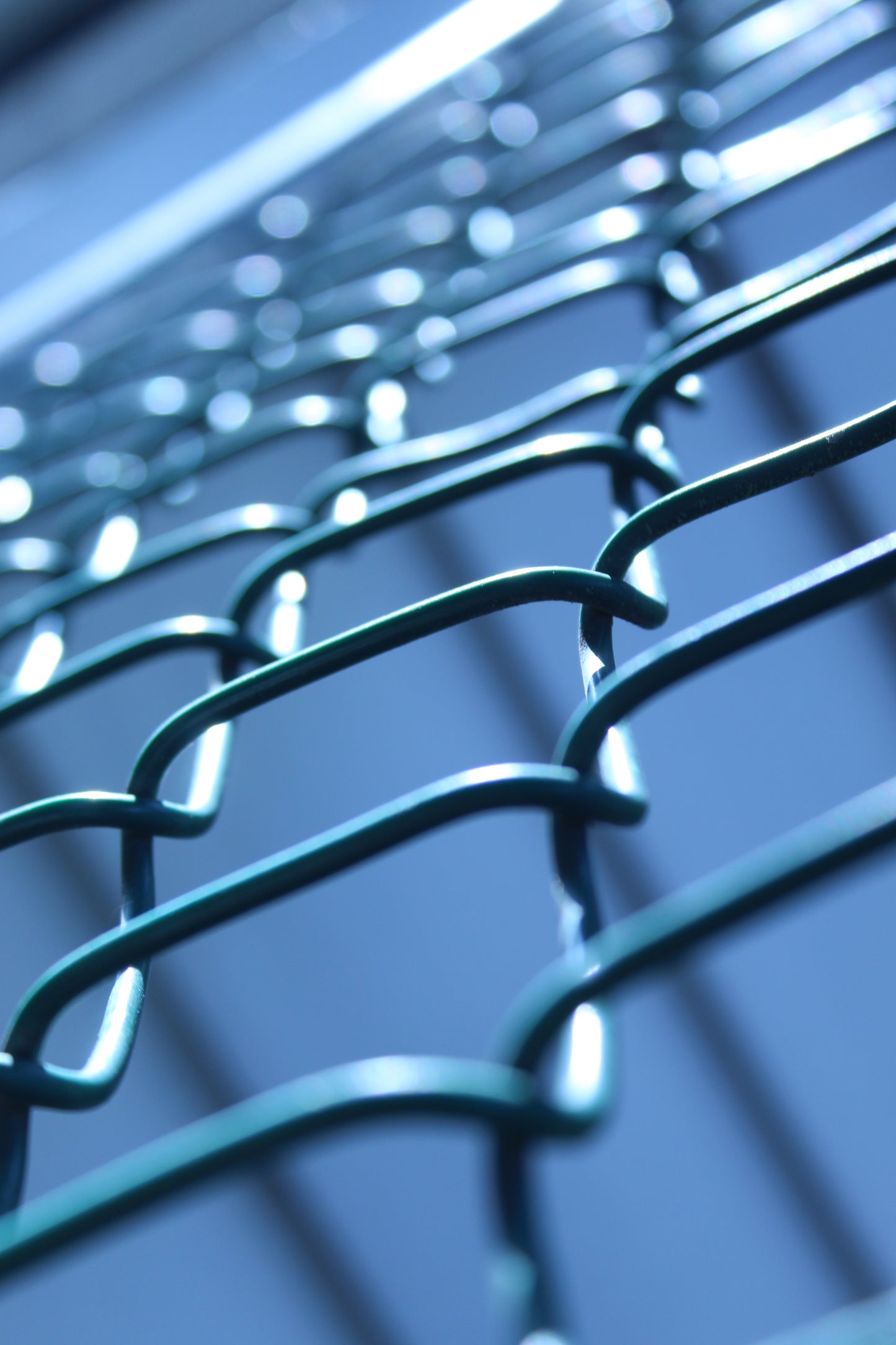 Eliza: Photography as Healing